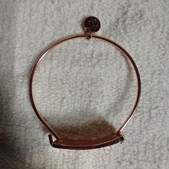 Coppertone science will not be silenced wire bracelet - Picture 4 of 6